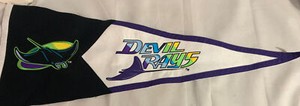 MLB Tampa Bay Devil Rays Vintage 16”x40” Team Logo Pennant