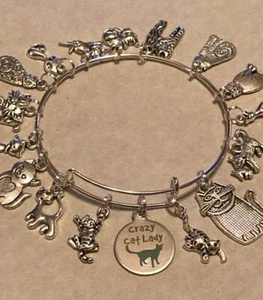 CRAZY CAT LADY Chram Armband 16 Katze Charms Liebe Katzen Spaß Geschenk silber Armreif - Bild 1 von 7