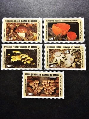 Stamp Comores Flora Mushrooms N°435/439 New Luxury MNH 1985 - Image 1 of 2