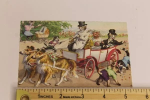 Vintage Alfred Mainzer Katze Hochzeitsszene Postkarte gedruckt in Belgien - Bild 1 von 2