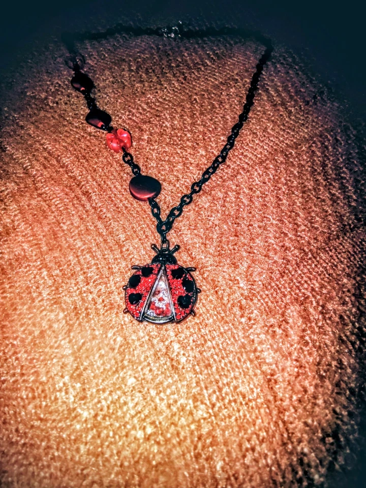 Collar de insectos dama negro y rojo Foto 1 de 1