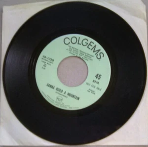 Sally Field & Cast of The Flying Nun Colgems promo 45 Gonna Build a Mountain - Picture 1 of 2