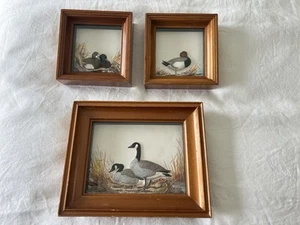 Joseph Q. Whipple | 3 VTG Hand Painted Miniature Signed Shadow Boxes Geese Ducks - Picture 1 of 14