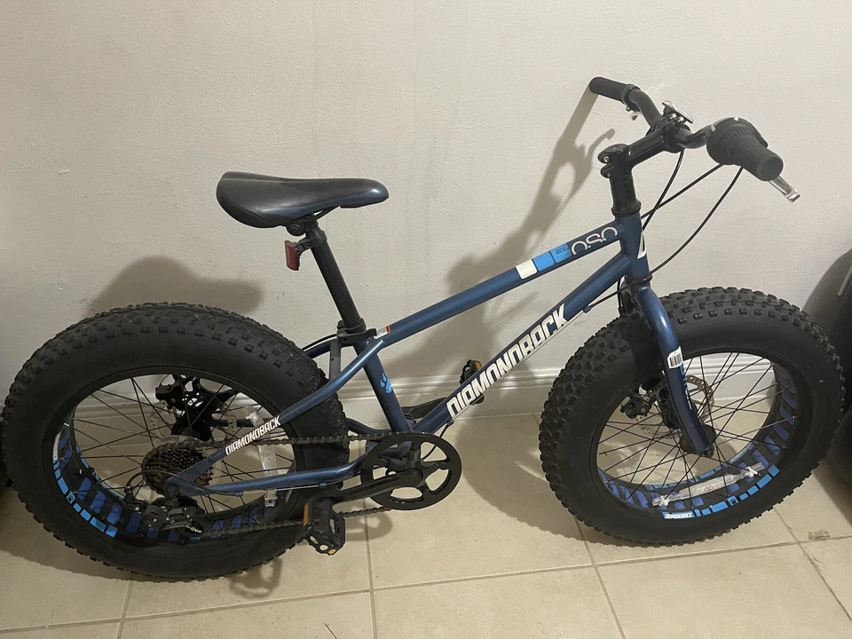 Diamondback El Oso Nino 20 英寸胖自行车 — 第 1/4 张图片