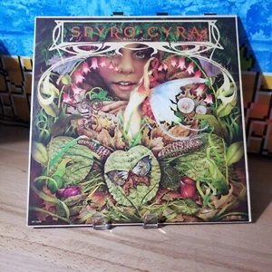 Spyro Gyra Morning Dance Infinity Records INF-9004 (1979 12 Vinyl) Jazz Funk - Picture 1 of 6