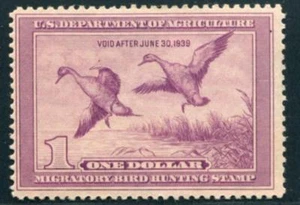 US RW 5 MINT LH, LIGHT VIOLET - Picture 1 of 1