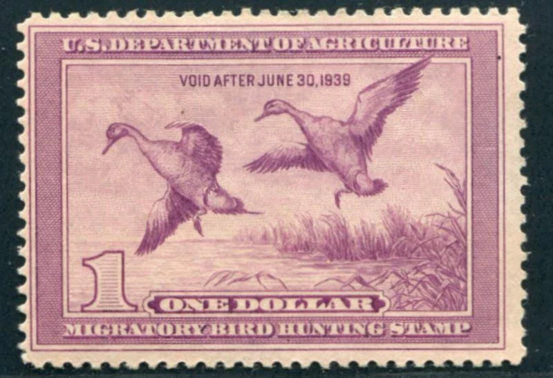 US RW 5 MINT LH, LIGHT VIOLET - Image 1 of 1