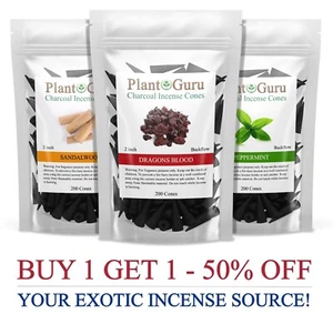 200 Jumbo Charcoal Incense Cones 2" BACKFLOW Bulk Waterfall Burner Holder Censer - Picture 1 of 176