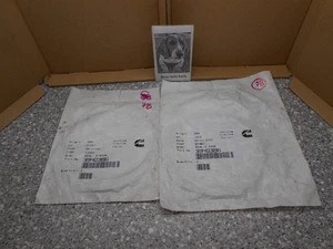 Cummins 3940386 Wasserpumpe O-Ring 2 Stück - Bild 1 von 3