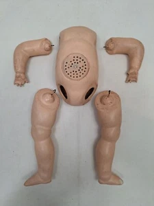 Antiker 12 Zoll Kleinkind Zusammensetzung Puppenkörper 1,5 Zoll Hals mit DMG Deutschland um 1910-1920er Jahre - Bild 1 von 12