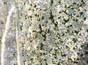 Vintage Northcott Fabric State Flowers Forget-Me-Not Alaska Suzan Ellis 1Y x 44" - Picture 1 of 3