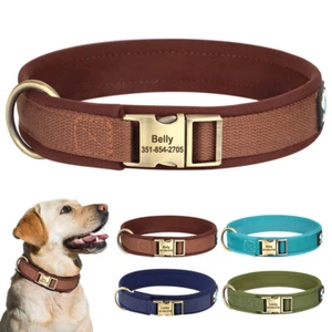 Neoprene Padded Collar for Dogs with Custom Personalised Nameplate Heavy Duty - Picture 1 of 17