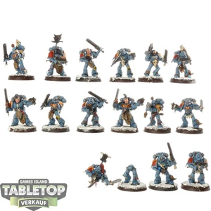 Space Wolves - 15 x Space Wolves Blood Claws - bemalt - Bild 1 von 1