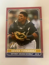 2019 Xavier Fernandez Card Northwest Arkansas Naturals Team Card