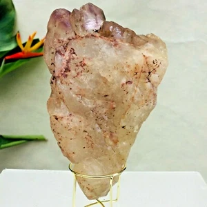860 g Pie de Amatista Natural Esqueleto Cuarzo Punto de Cristal Espécimen Curación - Imagen 1 de 12