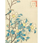 Blue Bird Pink Flowers 1859 Extra Large Art Poster