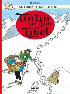 Tintin: Tintin ar Grib Tibet by Dafydd Herge (Welsh) Paperback Book - Picture 1 of 1