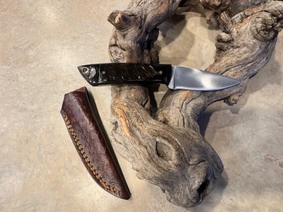 Sweet EDC PEN belt  knife High Carbon Steel w/Rams Horn handles - Image 1 of 3