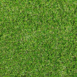 Steffensmeier Artificial Grass Park Lawn Carpet Green for Balcony Garden - Picture 1 of 9