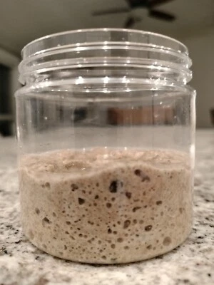 Arrancador de masa madre de centeno europeo orgánico Foto 1 de 4