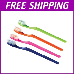 Mintburst Prepasted Brushes - 144 Individually Wrapped - Picture 1 of 2