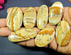 42-48 MM AA++ Natural Picture Jasper Oval Cabochon Loose Gemstone 7 Pcs Lot