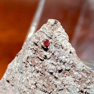 SPESSARTINE GRANAT (TN) - East Grants Ridge, Cibola County, New Mexico - Bild 1 von 9