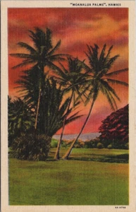 Moanalua Palmen Sonnenuntergang Blick Moanalua Gärten Honolulu Hawaii Leinen Postkarte - Bild 1 von 2