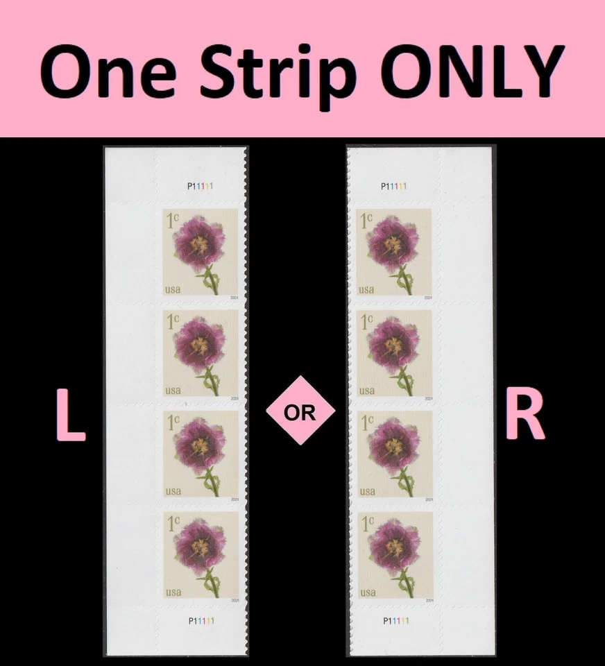 US 5897 Flowers Fringed Tulip 1c plate strip 4 MNH 2024 - Image 1 of 1