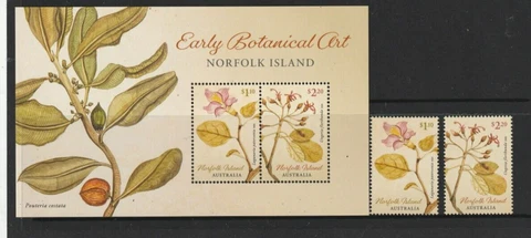 STAMPS NORFOLK IS 2020  BOTANICAL  ART  SET  &  MINI SHEET  MUH Cover