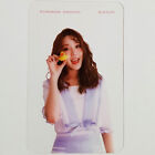 Karin Official Clear Photocard Elris 3Rd Mini Album Summer Dream Kpop Genuine