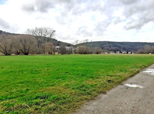 Acker-/Wiesenland - Bild 1 von 2