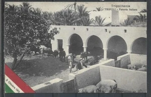1911 ITALY COLONY LYBIA TRIPOLITANIA TRIPOLI ITALIAN FARM - Picture 1 of 2