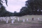 Fotografischer 35 mm Druck: Blumenkranz auf Soldatenfriedhof; bitte Größe auswählen