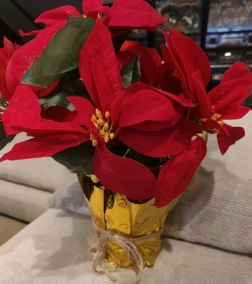 Planta de pascua de terciopelo rojo Ashland Navidad en maceta con envoltura dorada decoración interior  Foto 1 de 4