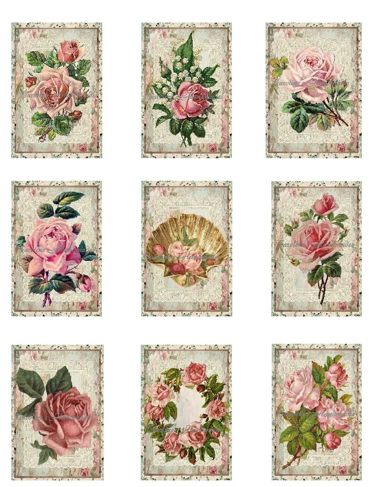 Vintage Pink Roses & Lace A Designer MULTI-SIZE SET Cotton Fabric Quilt Blocks - Image 1 of 1