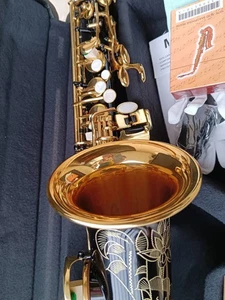 Neu schwarz Altsaxophon 82Z 875EX E-Flat Profi Sax mit Koffer Zubehör - Bild 1 von 13