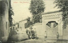 POLLONE BIELLA VIAGGIATA