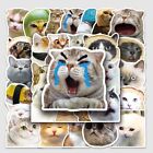 50pcs Personalized Cute Cat Laptop Stickers Cat Phone Decals  Laptop Skin Toys
