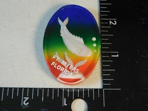 FT. MYERS FLORIDA KÜHLSCHRANKMAGNET SOUVENIR REISEN - Bild 1 von 2
