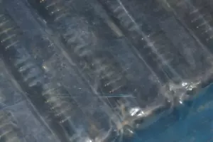 183-009-213R571 NORCOMP NON-PACKAGED 1-PIN NA-1 SURFACE MOUNT 183-009-213R571 - Picture 1 of 2