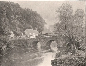 Ibex "From a Photograph" 1896 The Studio 2nd Prize Competition D  XXVII - Picture 1 of 5