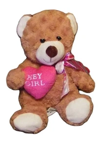 2019 Hug Fun Brown Teddy Bear Plush W/ Pink "Hey Girl" Heart Valentine 12 inch - Picture 1 of 11