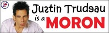 'Justin Trudeau is a MORON' Bumper Sticker Liberal