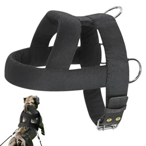 Dog Weight Pulling Harness Heavy Duty Strong for Large Dogs Training Pitbull  - Picture 1 of 14