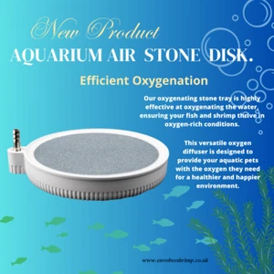 Air Stone Bubble Disc Oxygen Aerator for Pond Aquarium Fish ShrimpTank Pump 10cm - Picture 1 of 6