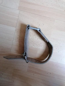Hundehalsband Natur Leder Lederriemen 50,0 cm x 3cm mit Ring - Bild 1 von 3