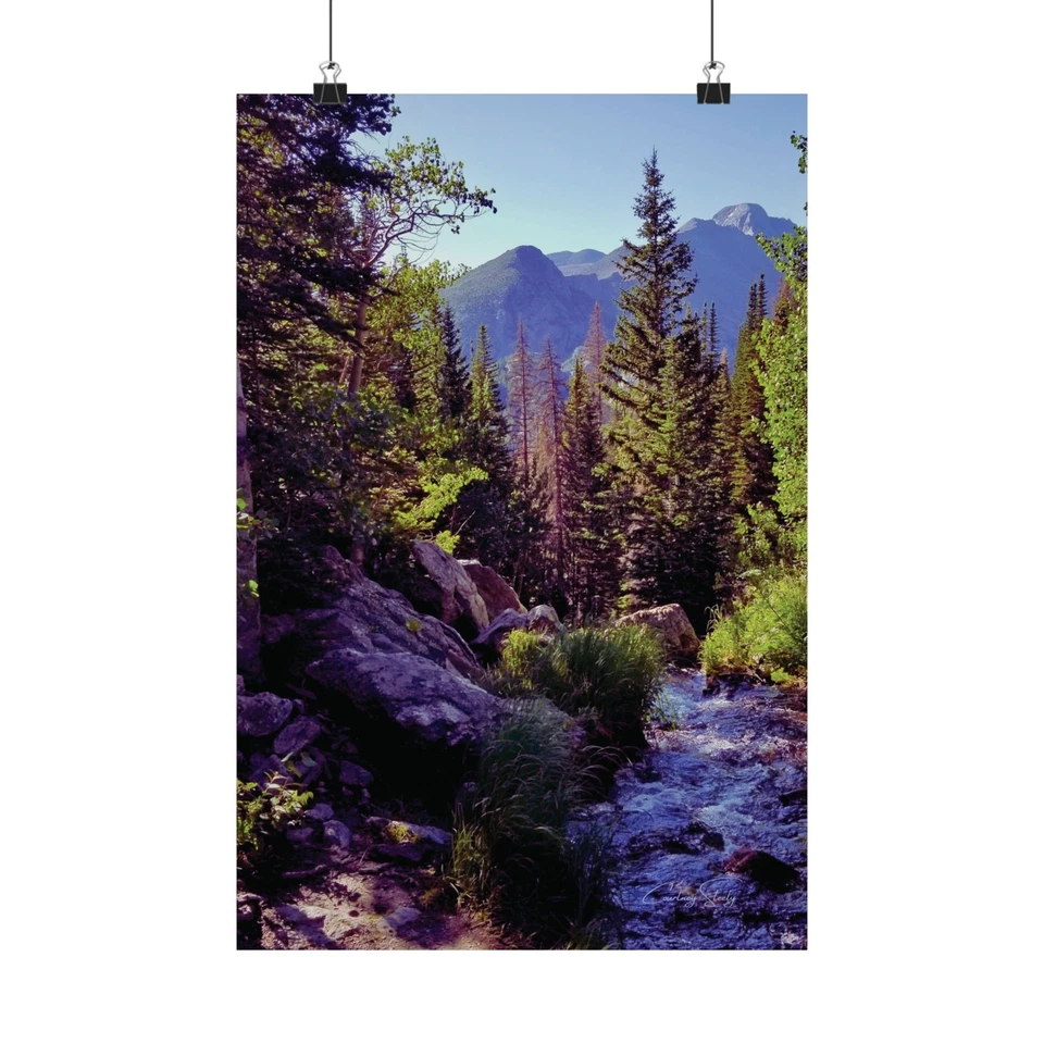 "Rocky Mountain Stream" Photo by Courtney Steely Matte Vertical Poster - Image 1 of 1