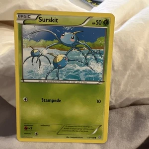Surskit 13/160 Common | Primal Clash | Pokemon Card New - Picture 1 of 2