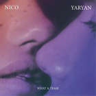 Nico Yaryan What a Tease (Vinyl) 12" Album